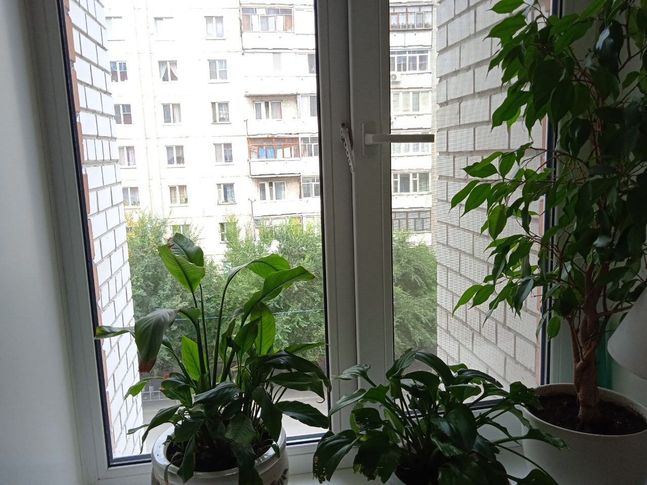 https://shahty.delaem-okna.ru/storage/app/uploads/public/63f/332/8c0/63f3328c0d6f7867060515.jpg
